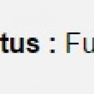 Untitled.jpg