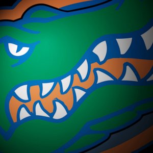 Gators 01.jpg
