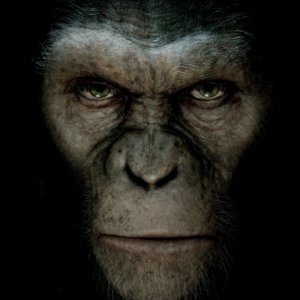 Ape.jpg