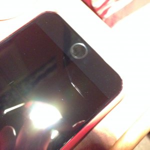 IMG_7347.jpeg