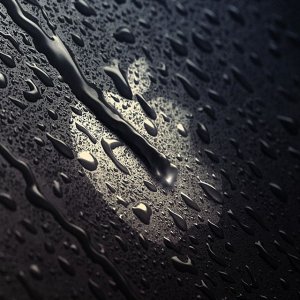 apple_rain_day.jpg