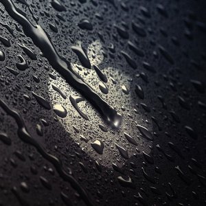 Apple Rainy Day.jpg