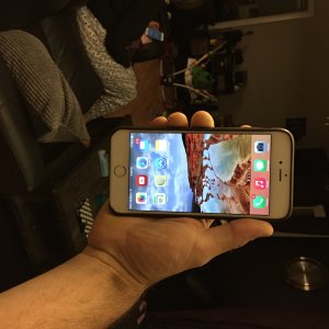 image.jpg