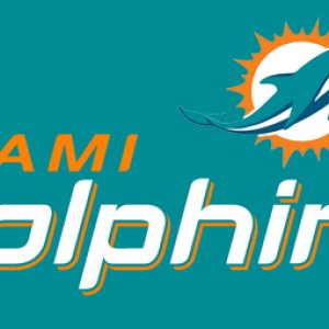 MiamiDolphinsWebpageLogo.jpg