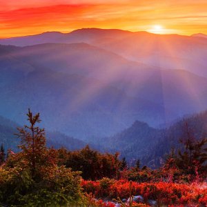 Sunset.jpg