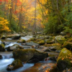 Fall Creek.jpg