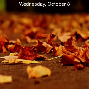 IMG_1756.PNG