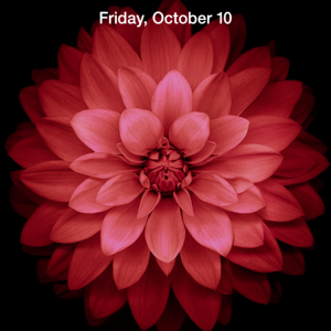 IMG_1953.PNG