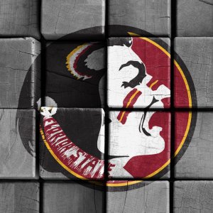 Seminoles 01.jpg
