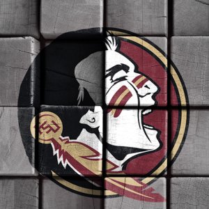 Seminoles 02.jpg