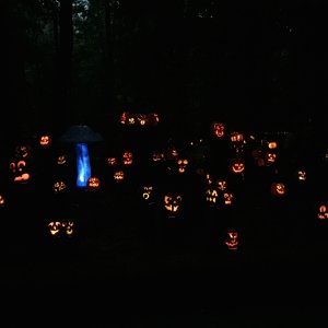 IMG_0047.jpg