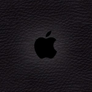 Apple logo 02.jpg