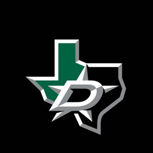 Dallas Stars 01.jpg