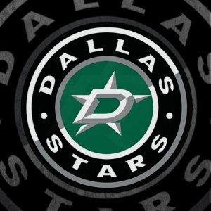 Dallas Stars 05.jpg
