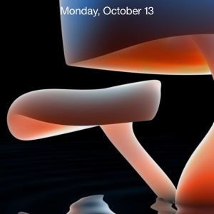 IMG_3830.PNG