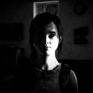 381969.jpg