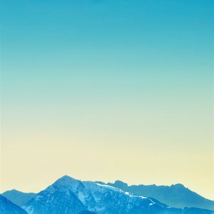 image (1).jpg