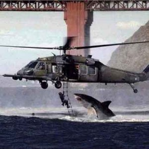 shark-helicopter.jpg