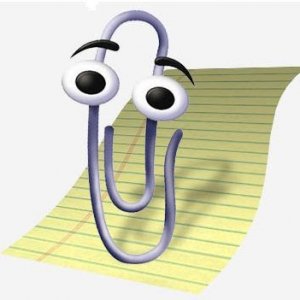 image.jpg