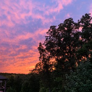 IMG_0001.JPG