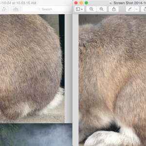 NO ZOOM.png