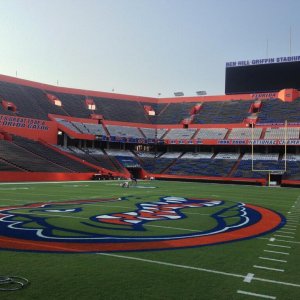florida-football-field-gators-logo-2013.jpg