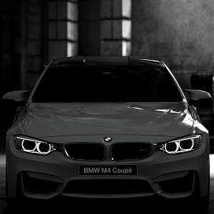 BMW 01.png
