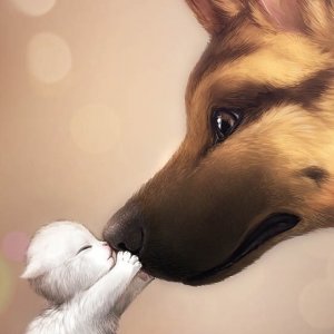 image.jpg