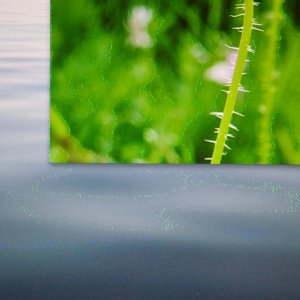 IMG_6027.jpg