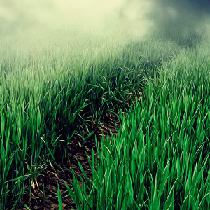 Pathway 02.png
