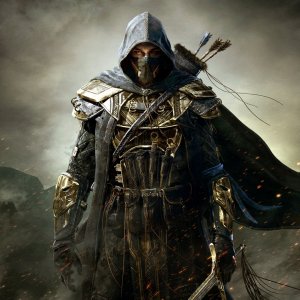 The_Elder_Scrolls_Online_warrior_Assassin_fantasy_skyrim_1920x1080.jpg