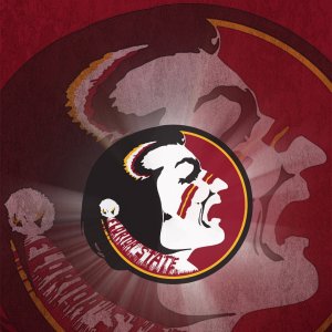 Seminoles 01.jpg