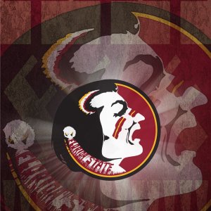 Seminoles 02.jpg