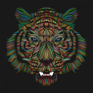 tiger.jpg