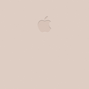 Soft Pink.png