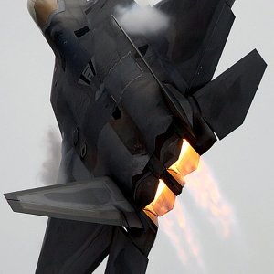 Raptor 01.png