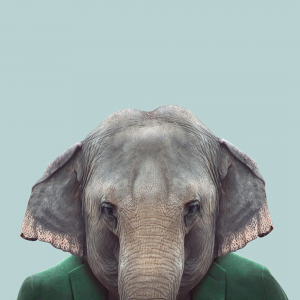 Elephant.png