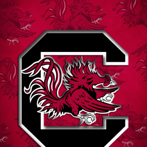 SC Gamecocks 03.png