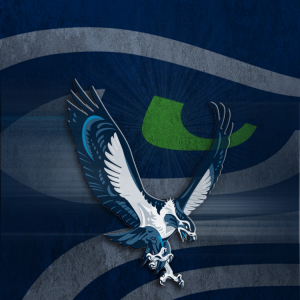 Seattle Seahawks 03.png