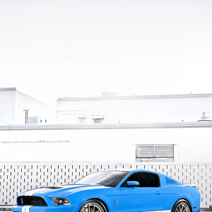 Mustang GT 500 03.png