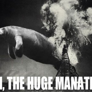thehugemanatee.jpg