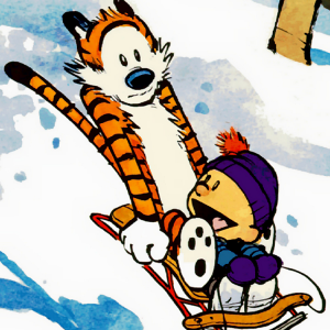 Calvin Hobbes 02.png