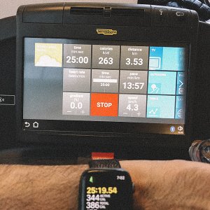 GYM.JPG
