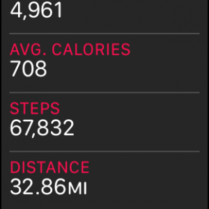 steps.png