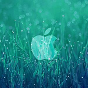 Wet Grass Apple 03.png