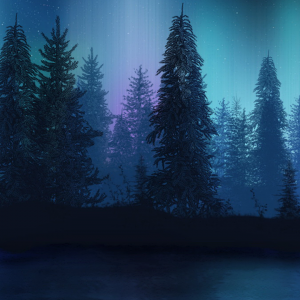 1.png