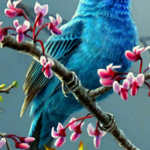 Bird 01.png