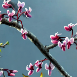 Blossoms.png