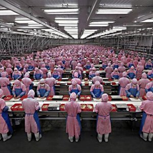 apple factry workers.jpg
