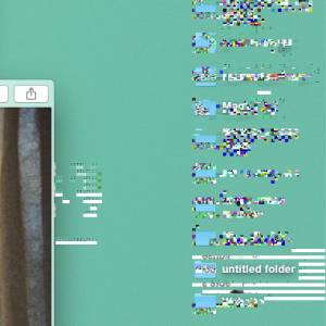 Screen Shot 2.png